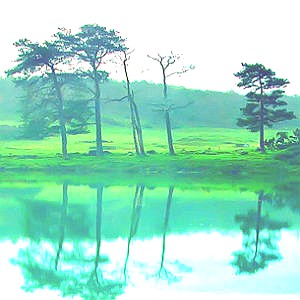 Киноклуб "Остров"