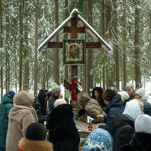 Приглашаем в Левашово!