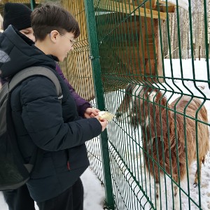 В гостях у «Василиады»